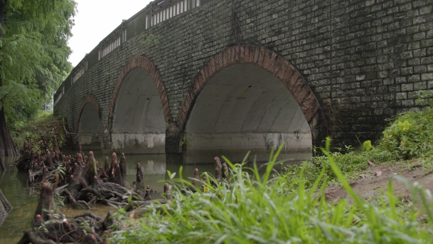 Bald Cypress Tree Roots (Cypress knees) in a river near Roman arch bridge, low angle