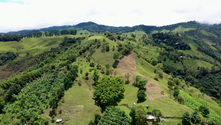 Coffee plantations in the mountains of South America.