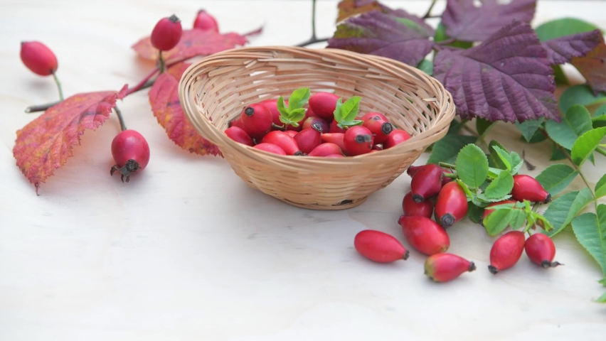 red rosehips, full of vitamin C, autumn composition Royalty-Free Stock Footage #1095853551