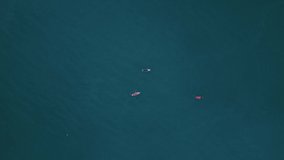 4k Top view of ships float on water outdoors irrl. Aerial pic of three small boats moving on calm turquoise waters outdoors in summer. Creative operator launched drone and captured magnificent clip