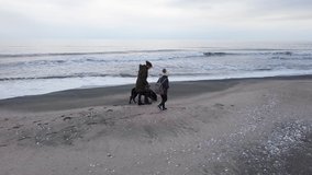 Adult mother and hostess and her little cheerful daughter in warm clothes walk along sandy sea wild beach with faithful funny big dog of Rottweiler breed, in cold cloudy weather. UHD 4K video realtime
