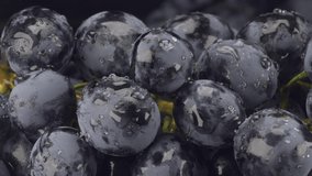 Close up of Bunch of dark grapes with water drops. VERTICAL VIDEO, Camera moves downwards
