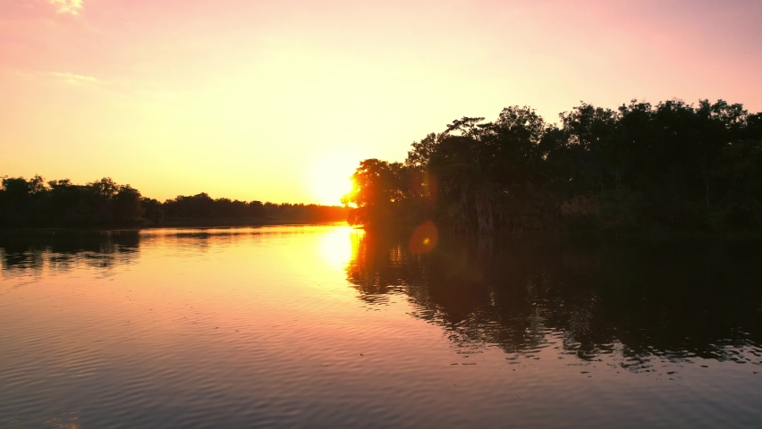 Louisiana swamp bay cypress trees moss and fish water splash sunset