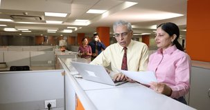 Senior businessman with woman using laptop at office.