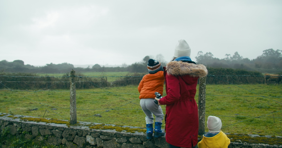 Cheerful family in weekend vacation trip expecting grazing domestic cattle on meadow. Woman with children looks cows on green uncultivated field