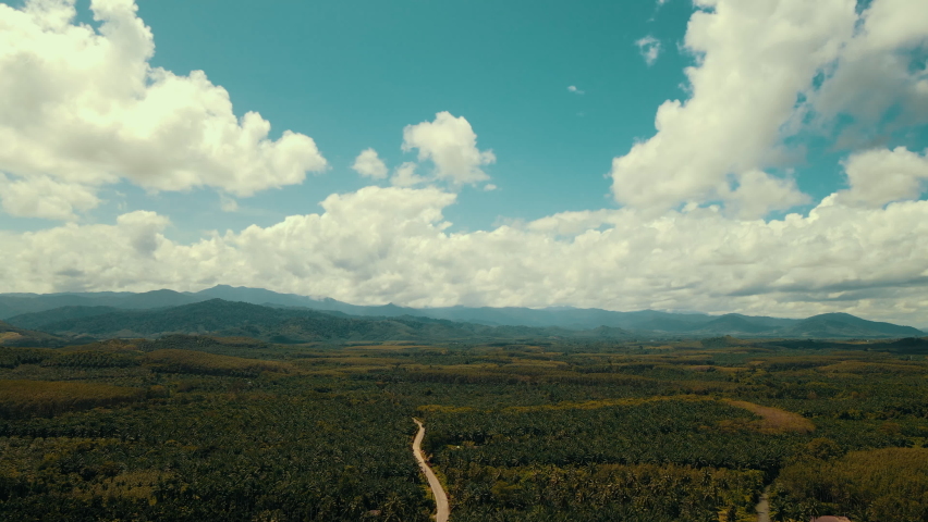 Beautiful aerial view Palm oil plantations at Ranong Thailand. Royalty-Free Stock Footage #1095894139