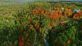 Road in beautiful autumn forest during foliage. Sigulda in Latvia. Aerial backward