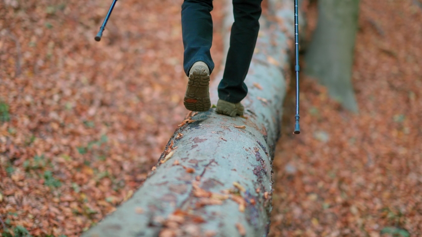 A young man goes hiking in the autumn forest.