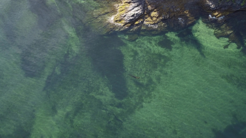 Top down aerial view of rocky shoreline in the green waters of Ketchikan, Alaska. 