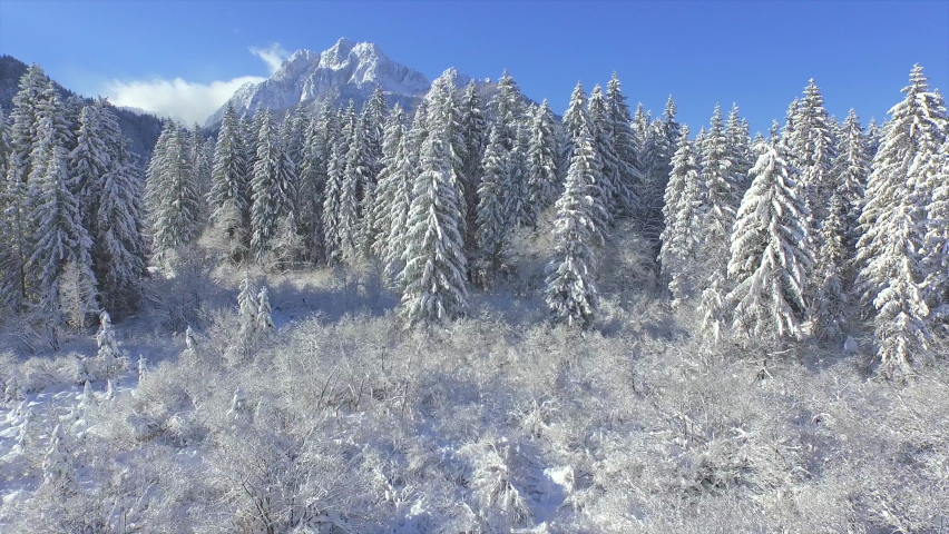 AERIAL: Winter flight above snow covered spruce trees towards Ponce Mountains. Wonderful view of snowy alpine landscape with majestic mountaintops and lush spruce forest on a sunny day in winter time. Royalty-Free Stock Footage #1095934249