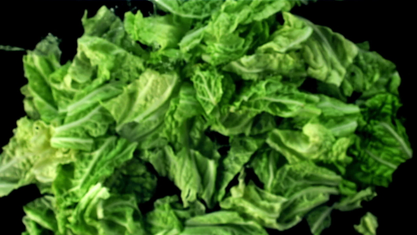 Lettuce leaves with water rise up and fall down. On a black background. Filmed on a high-speed camera at 1000 fps.