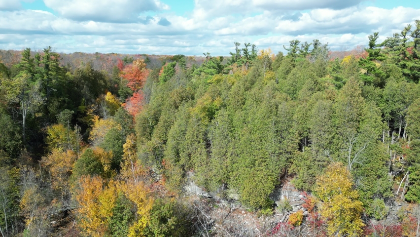 Under a Canadian Sky in Autumn | Shutterstock HD Video #1095964341