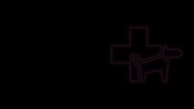 Glowing neon line Veterinary clinic symbol icon isolated on black background. Cross with dog veterinary care. Pet First Aid sign. 4K Video motion graphic animation.