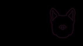 Glowing neon line Dog icon isolated on black background. 4K Video motion graphic animation.