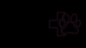 Glowing neon line Veterinary clinic symbol icon isolated on black background. Cross hospital sign. A stylized paw print dog or cat. Pet First Aid sign. 4K Video motion graphic animation.