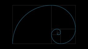 Golden ratio transparent video - The Fibonacci Sequence animated with lines grid and shape. Alpha channel animation - Powered by Shutterstock - Get 15% off with code: PIKWIZARD15