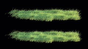 Grass 2 Clip Slow and Fast Swaying Loops with Luma Matte. 3D rendering. Element footage place on footage or background and easier to adjust color.