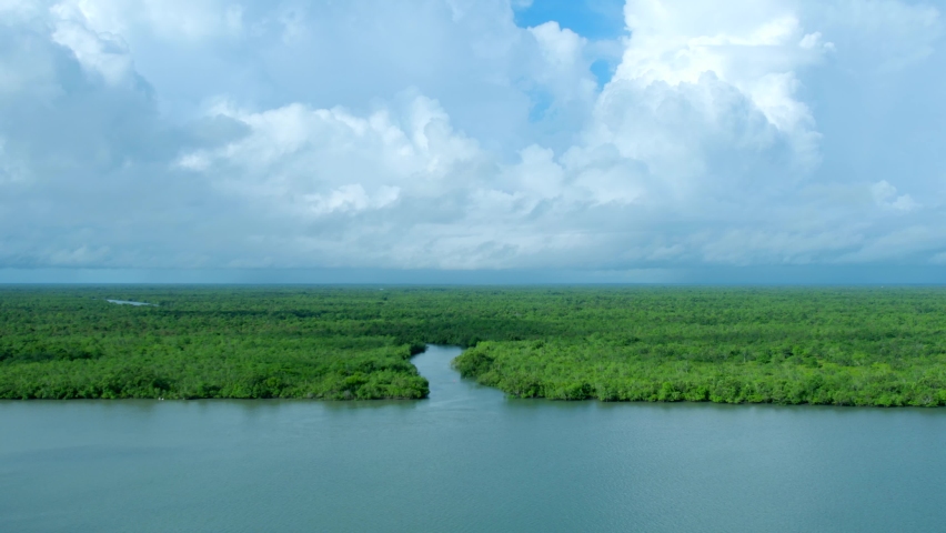 72 Sundarban Delta Stock Video Footage - 4K and HD Video Clips |  Shutterstock