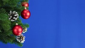 On a blue background, a Christmas tree branch decorated with Christmas decorations chroma key