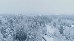 Aerial drone top view of snow covered coniferous forest on a cold winter landscape in the rural landscape on a cloudy day. - Powered by Shutterstock - Get 15% off with code: PIKWIZARD15