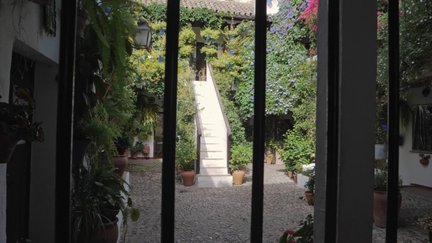 Tracking in Slow motion shot of traditional Cordoba patio, lush flower vegetation Spain
