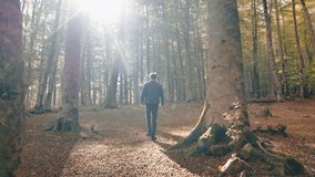 Boy simulation in the mountain of augmented reality viewer in Autumn - Powered by Shutterstock - Get 15% off with code: PIKWIZARD15