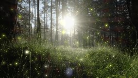 Fairy tale magical morning forest with glowing fireflies. Magical particles swirl among the fantastically enchanted trees. Mystical woods. High quality 4k footage - Powered by Shutterstock - Get 15% off with code: PIKWIZARD15