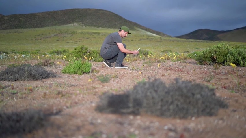 mature latin tourist taking photos with cell phone to the flowers in the flowery desert of Atacama