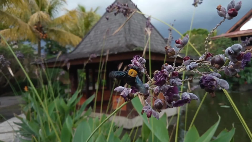 Bees fly between flowers and leaves