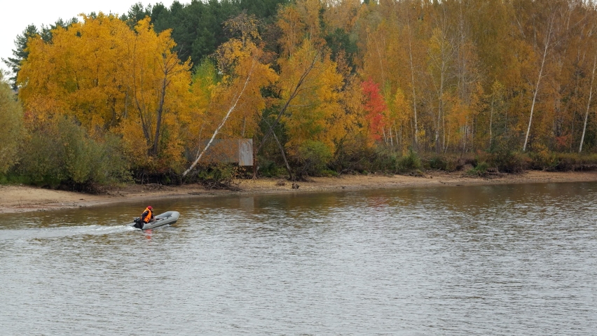Man in signal vest sails white inflatable motor boat along riverbank with bright yellow trees. Active resting on river on cloudy autumn day
