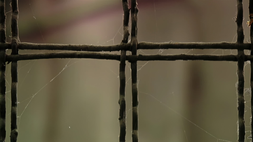 Security Fence with Spider Webs in a Corridor of an Old Prison in Buenos Aires Province, Argentina. Close Up.   Royalty-Free Stock Footage #1096078757