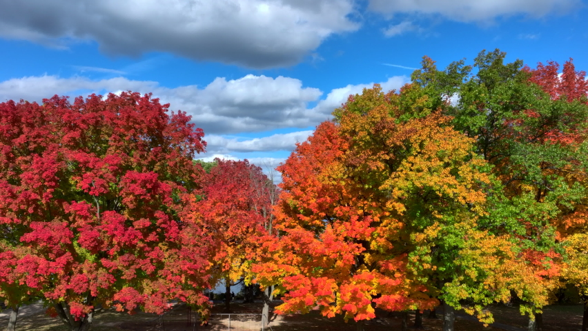 Aerial drone footage of Cass Lake and Orchard Lake in West Bloomfield Michigan during Fall. Beautiful autumn day with colorful leaves all around