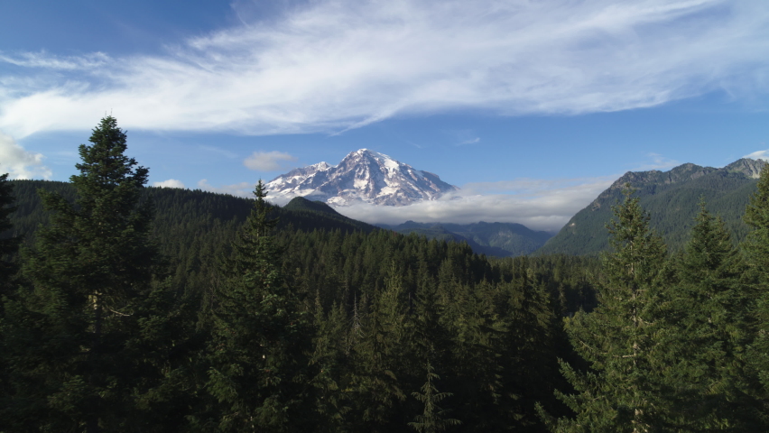 Clear view of Mount Rainier Aerial pushing in over pine trees and Nisqually River in summer on blue sky day
