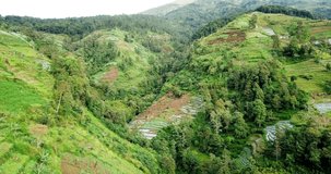 valley on the slope of mountain with plantation and trees. thick forest. drone.