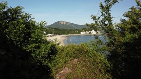 Drone Shot Through a Bush to a Beach - Powered by Shutterstock - Get 15% off with code: PIKWIZARD15