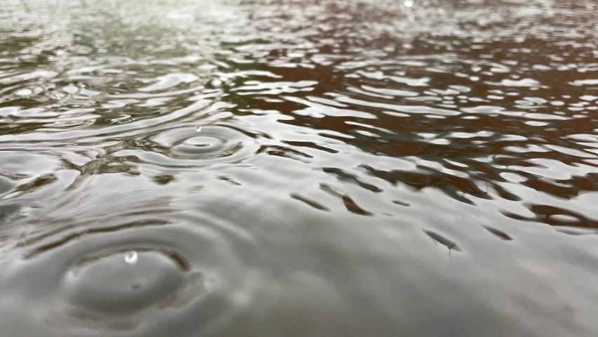 Drops of heavy rain on the gray surface of the pond. Close-up view of large raindrops and ripples from them. Frequent Raindrops create ripples and circles on the water.