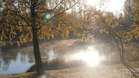 Fog floats over the river on an autumn morning. The sun shines through the golden leaves of the trees. Beautiful landscape - Powered by Shutterstock - Get 15% off with code: PIKWIZARD15