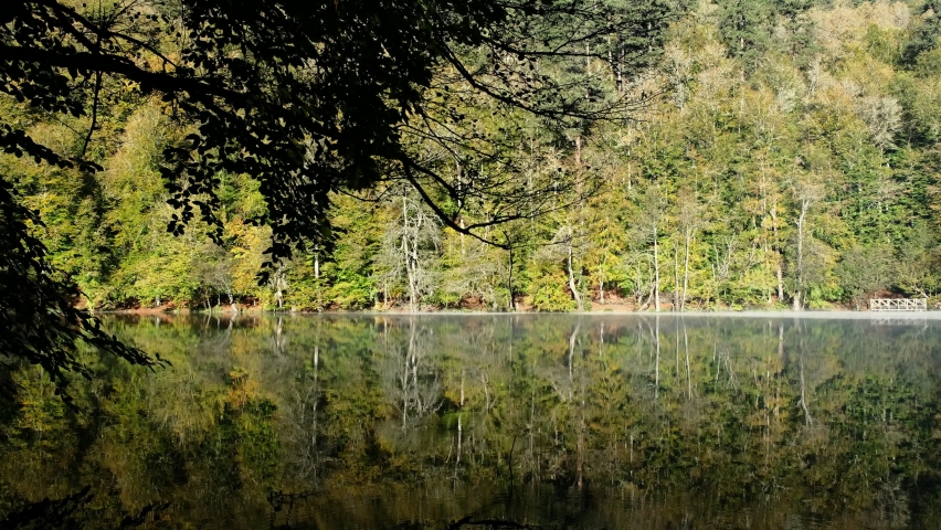 Autumn scenery with green, yellow and red leaves reflect in the water mirror. Zoom out. Yellow maple trees reflect and tremble in quiet forest lake. Yedigoller National Park at Bolu, Turkey
