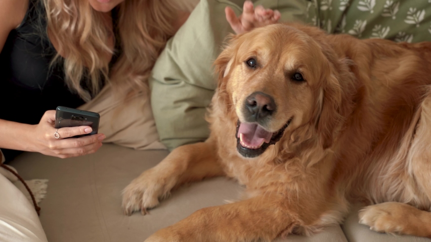Young blonde woman is using smartphone with dog at home. Front view of beautiful young woman with smile sitting with her beloved pet and talking . 4k footage | Shutterstock HD Video #1096118169