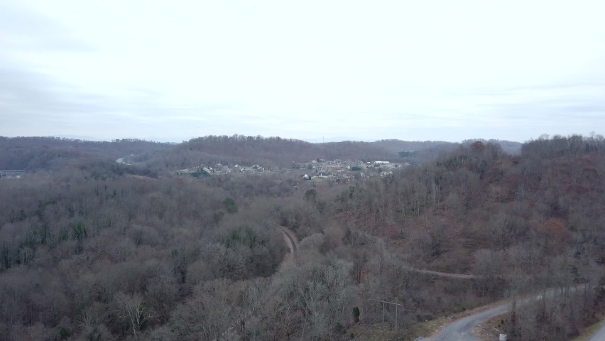 Drone Shot of Trees and River