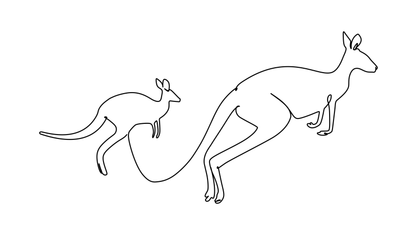 One continuous line drawing animation of funny standing kangaroo ...