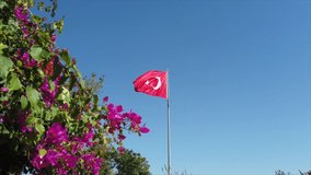Video of the turkish flag waving in the wind and in the flower landscape