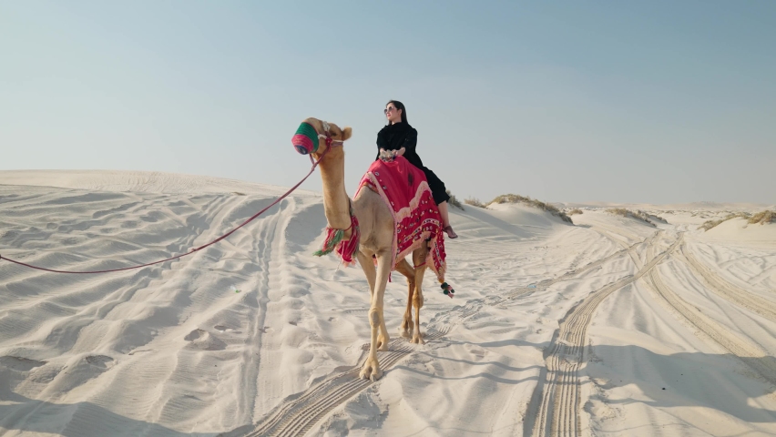 Tourist woman riding camel at the desert
 Royalty-Free Stock Footage #1096151201