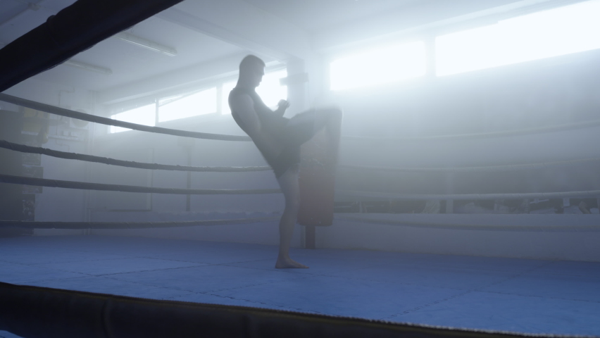 Kickboxer silhouette training punches in fighting club ring, wide shot. Young fighter gym workout, sportsman practicing hand and leg kicks, long angle view