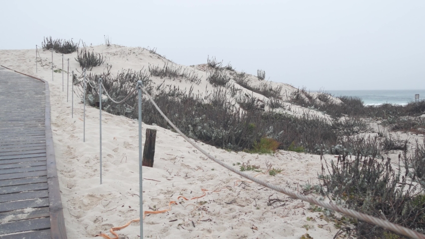 Ocean beach sandy dunes, Monterey nature, California misty coast, USA. Foggy rainy calm autumn or winter weather, grey cloudy sky. Trail path on shore near cold sea waves. Boardwalk from wooden planks