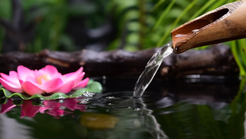 Spa with water flowing, bamboo pipes, pink lotus flowers. Royalty-Free Stock Footage #1096158915