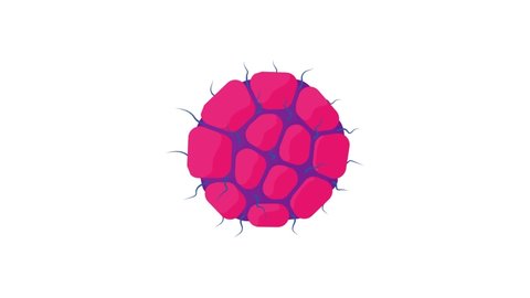 16 The Menstrual Cycle Cartoon Stock Video Footage - 4K and HD Video Clips | Shutterstock 16 The Menstrual Cycle Cartoon Stock Video Footage - 4K and HD Video Clips | Shutterstock