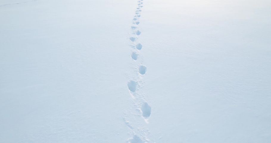 Human footprints in the snow. Follow the trail on the white snow. Winter season. Royalty-Free Stock Footage #1096160641