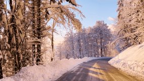 SLOW MOTION: Gorgeous day for drive through hilly countryside with fresh snowfall. Winter sunbeams peeking through a fairy-tale snowy forest while driving along winding plowed asphalt mountain road. - Powered by Shutterstock - Get 15% off with code: PIKWIZARD15