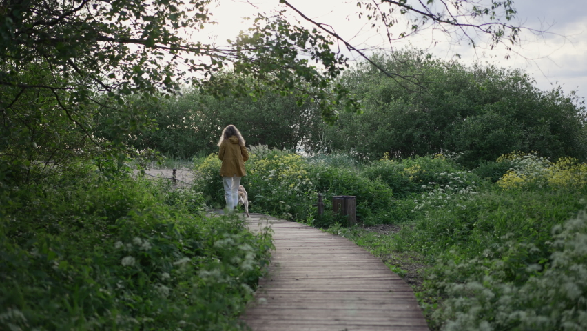 Rear view of young woman is walking with Greyhound dog in green summer park spbd. 4k Female owner holds leash in hand and walks with cute pet in picturesque area with trees and grass.
